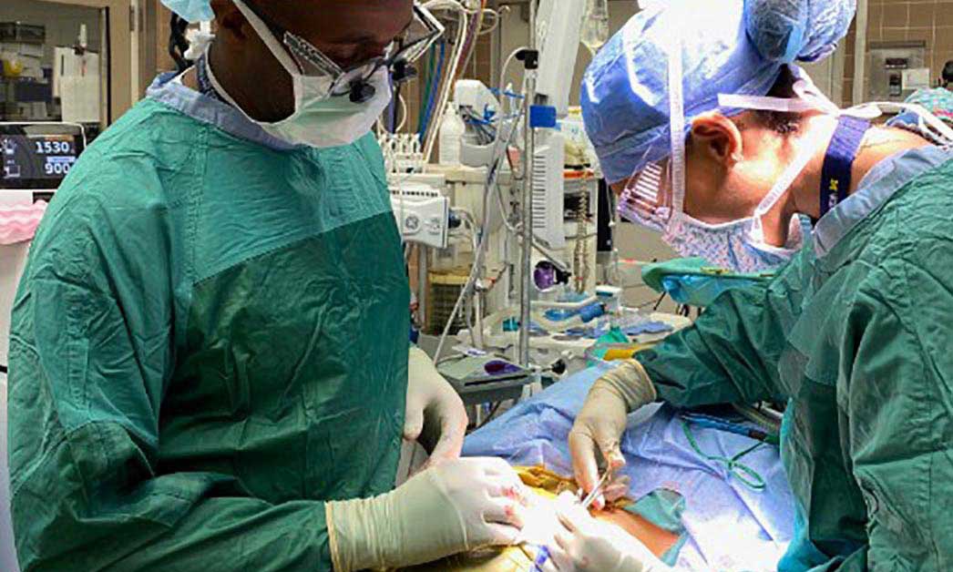 Drs. Terrence Pleasant and Mariel Watkins